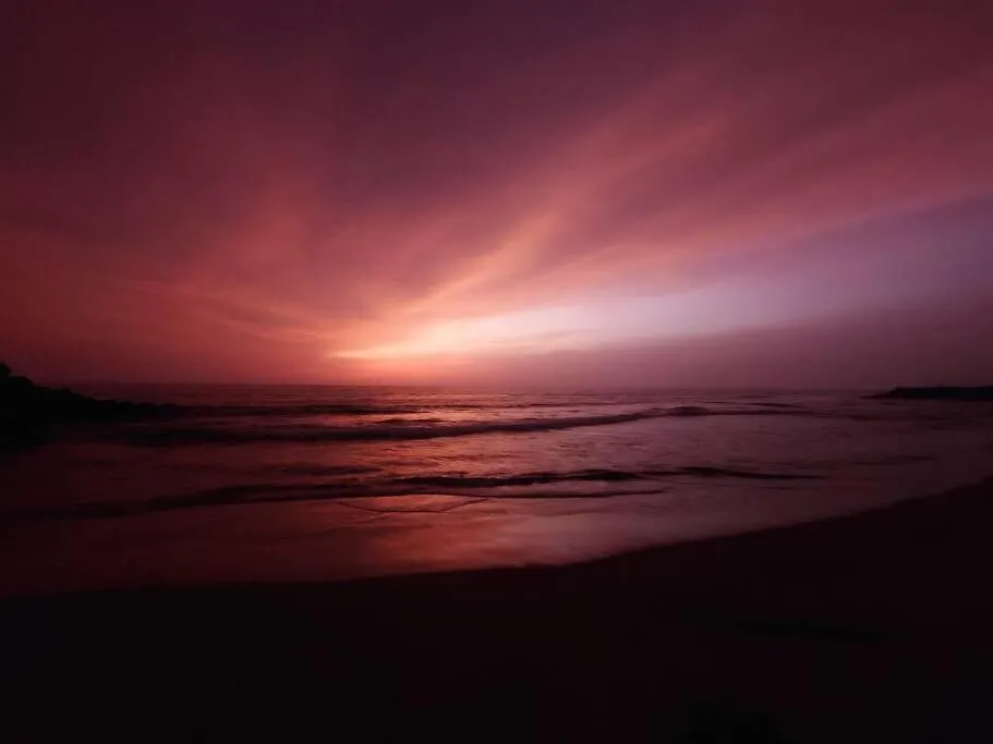 Theeraa Beach Villa In Cherai Cherai Beach