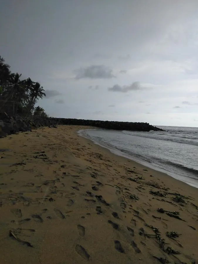 Theeraa Beach Villa In Cherai Cherai Beach